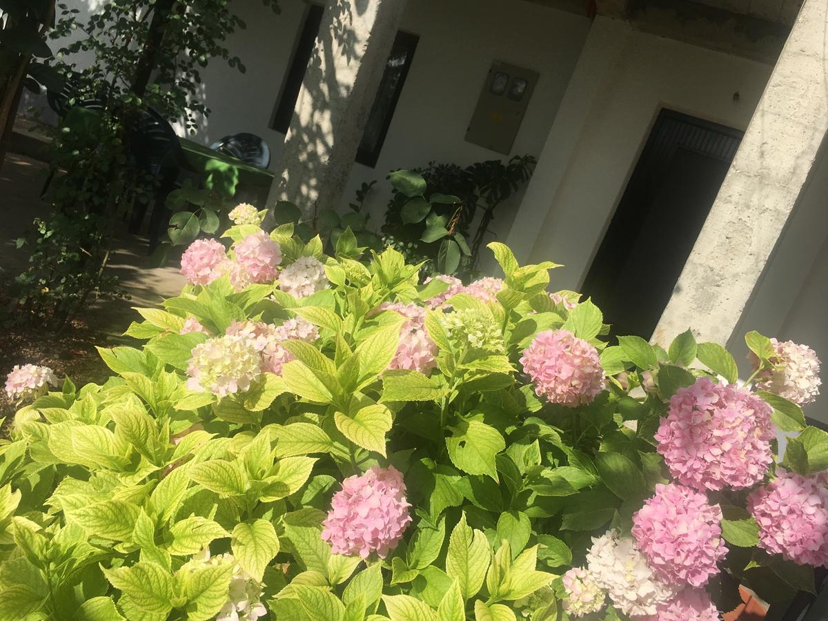 Guesthouse Star Мостар Экстерьер фото